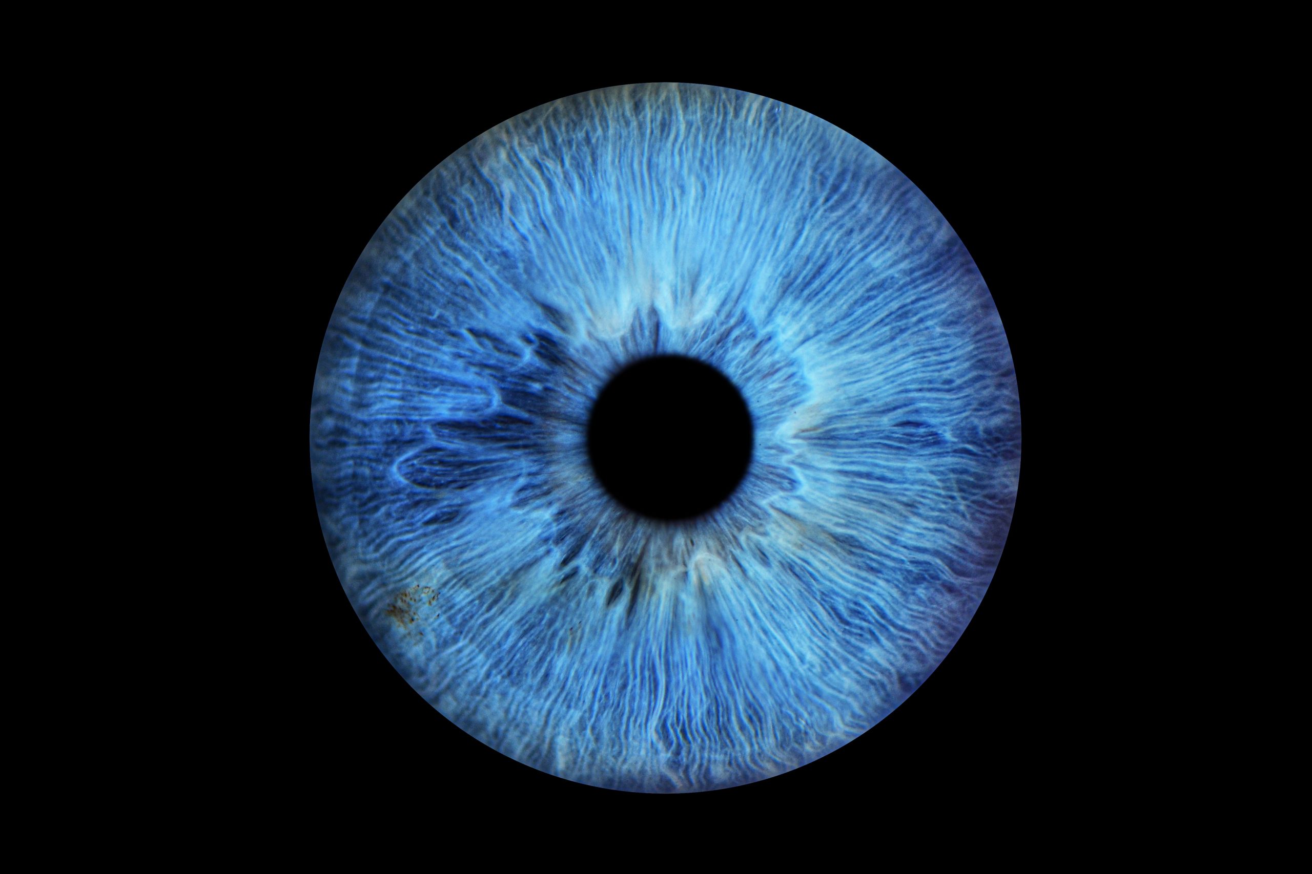 Afinando el ojo